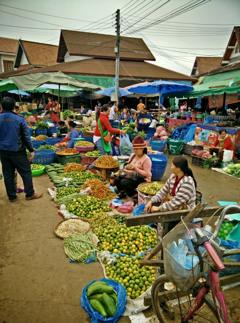 wp-1422664518583 image